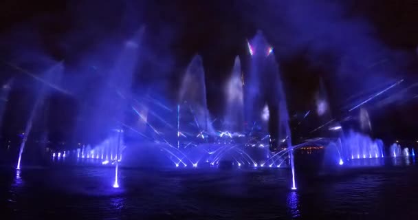 Orlando Florida Augusti 2021 Panoramautsikt Över Ignite Fireworks Show Seaworld — Stockvideo