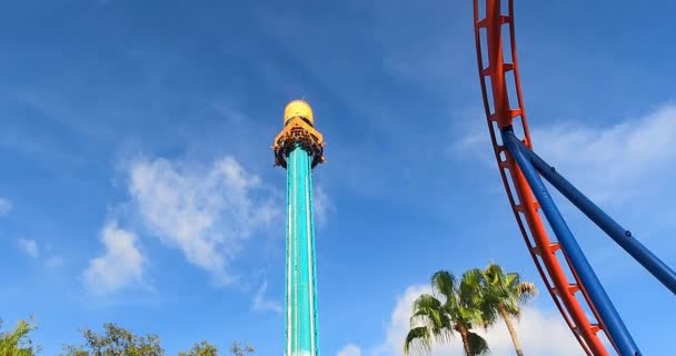 Tampa Bay Florida Agosto 2021 Descenso Vertiginoso Falcon Fury Busch — Vídeos de Stock