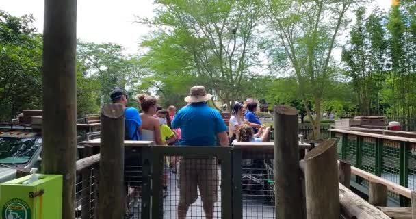 Tampa Bay Florida Augusti 2021 Serengeti Safari Avgång Från Baslägret — Stockvideo