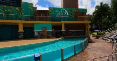 Orlando, Florida. 30 Ağustos 2021. Seaworld 'de Deniz Aslanı ve Su Samuru Sahne Işığı (3))