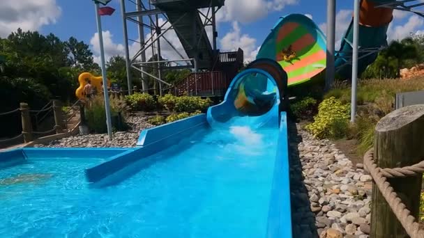 Orlando Florida Agosto 2021 Personas Disfrutando Kare Kare Curl Aquatica — Vídeo de stock