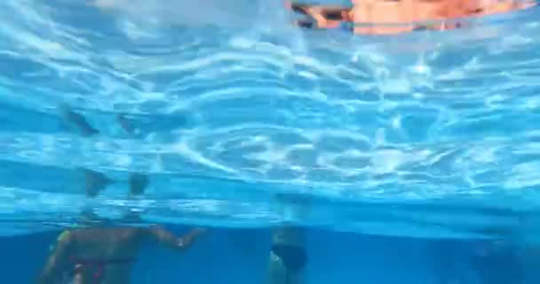 Orlando Florida Ağustos 2021 Aquatica Daki Cutback Cove Havuzuna Atlayan — Stok video
