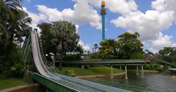 Tampa Bay Florida Agosto 2021 Personas Que Disfrutan Stanley Falls — Vídeo de stock