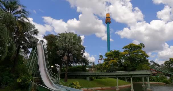 Tampa Bay Florida Srpna2021 Závratný Sestup Falcon Fury Busch Gardens — Stock video