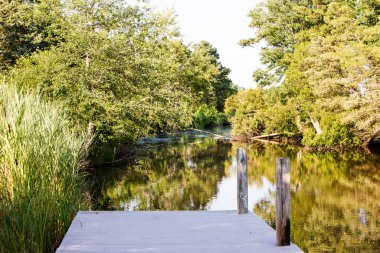 Ağaç kaplı dere Yaz öğleden sonra