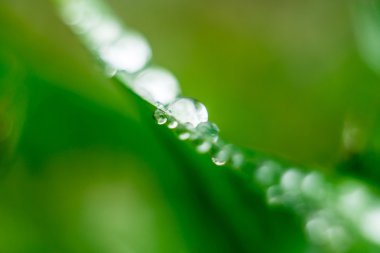 su yapraklara düşer.