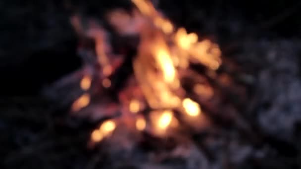 Lagerfeuer, Reisen, Natur, Feuer — Stockvideo