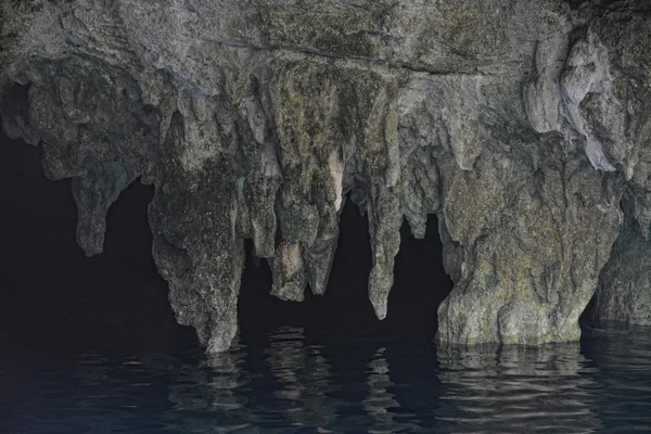 Grand cenote Yucatan, Mexikó. — Stock Fotó