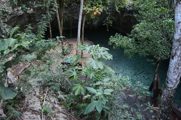 Grand cenote στο Γιουκατάν, Μεξικό. — Φωτογραφία Αρχείου