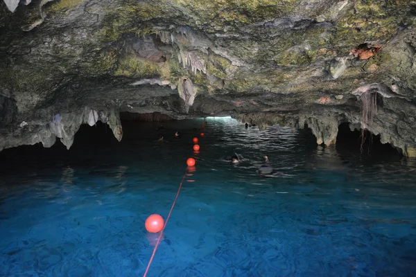 Grand cenote in Yucatan, Mexico. — Stock Photo, Image