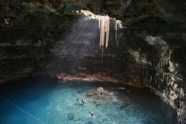 Hipotermik Samula Yucatan Yarımadası'nda, Meksika.