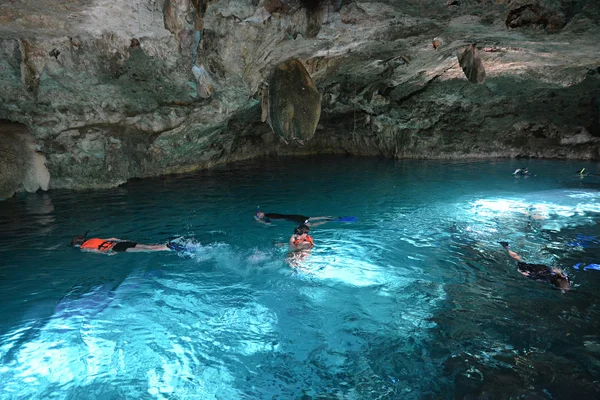 Hipotermik Dos Ojos Yucatan Yarımadası'nda, Meksika.