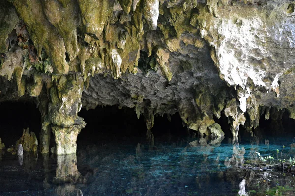 Cenote Dos Ojos en la península de Yucatán, México . — Foto de Stock