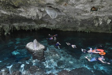 Hipotermik Dos Ojos Yucatan Yarımadası'nda, Meksika.