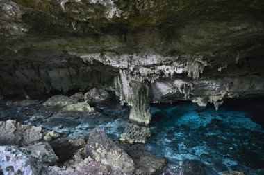 Hipotermik Dos Ojos Yucatan Yarımadası'nda, Meksika.