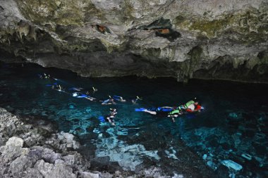 Hipotermik Dos Ojos Yucatan Yarımadası'nda, Meksika.