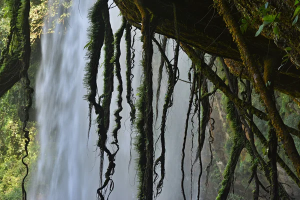 Misol-Ha waterfall, Chiapas, Mexico, — Stock Photo, Image