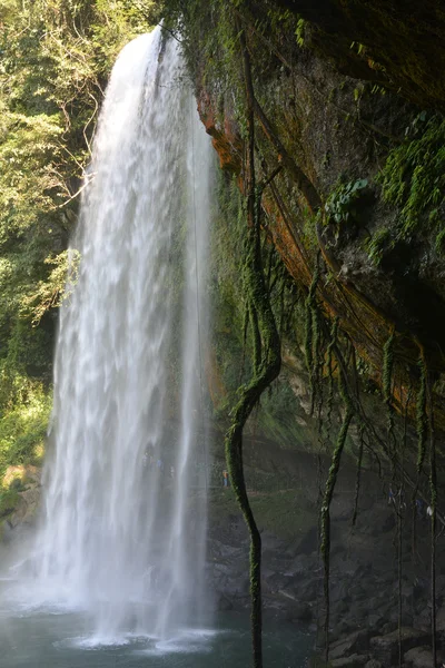Misol-Ha waterfall, Chiapas, Mexico. — Stock Photo, Image