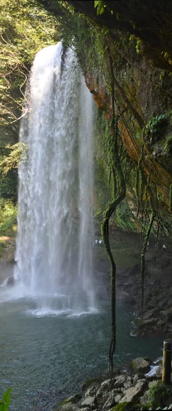 Vertical panorama of Misol-Ha waterfall, Chiapas, Mexico, — Stock Photo, Image