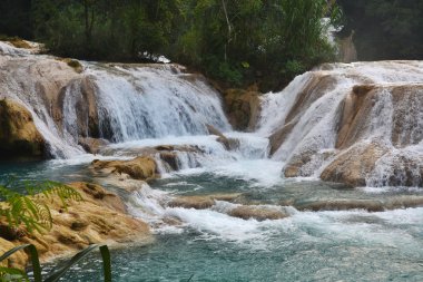 Agua Azul şelale, Yucatan Yarımadası, Meksika.