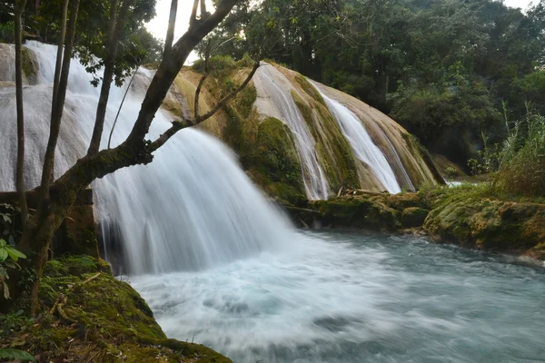 Agua Azul waterfall, Yucatan  Peninsula, Mexico. — Stock Photo, Image