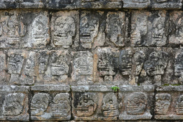 Chichen itza tzompantli die Schädelwand (Totentempel), m — Stockfoto