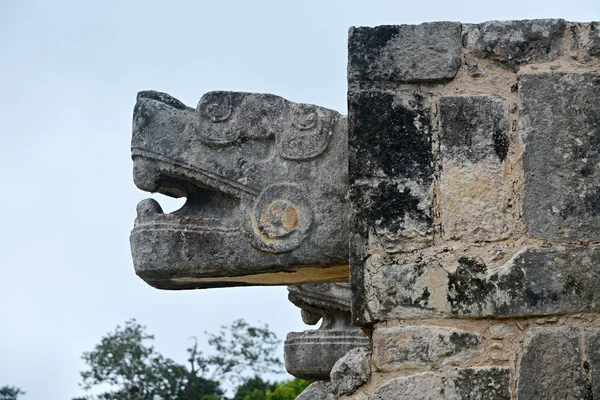 Testa di serpente sacro — Foto Stock