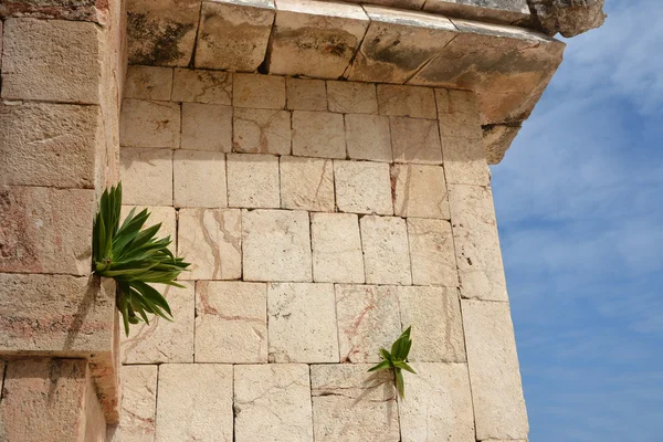 Fa parte del Palazzo del Governatore. Uxmal, penisola dello Yucatan, Messico . — Foto Stock