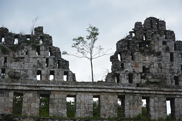 Antiguo sitio maya Uxmal, México . — Foto de Stock