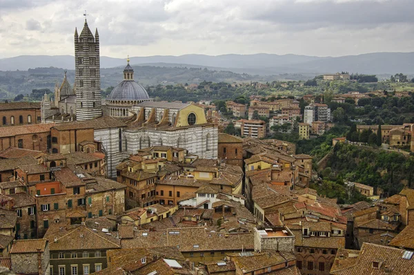 View of Siena town. — Stock Photo, Image