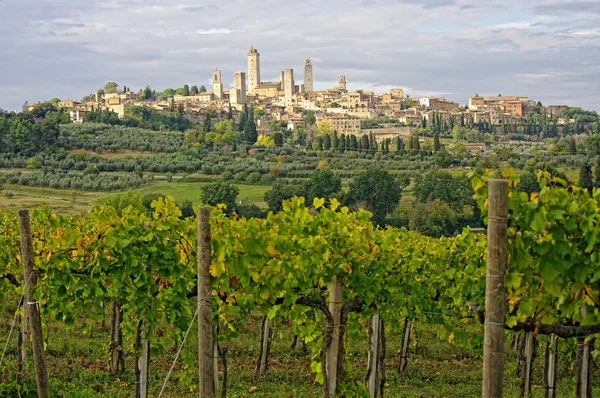 San Gimignano, Tuscany, Italy. — Stock Photo, Image