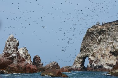 Ballestas Adaları, Perulu kıyı şeridi, Paracas Milli Parkı, Pe