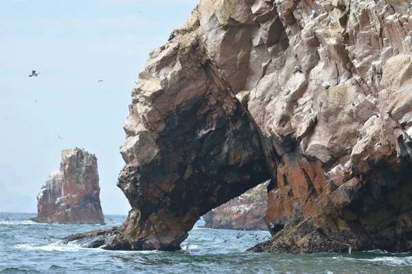 Ballestas 島、ペルーの海岸線、パラカス国立公園、Pe ストック画像