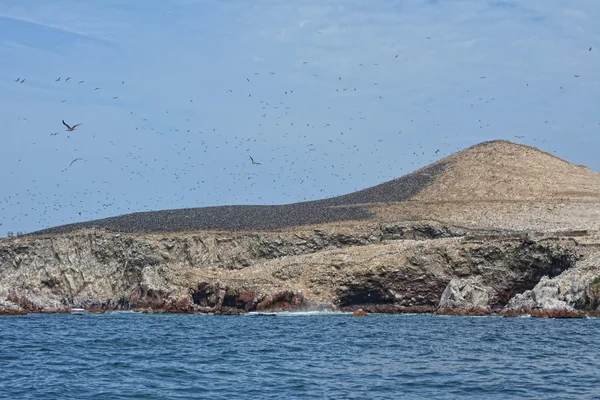 Ballestas 島、ペルーの海岸線、パラカス国立公園、Pe ロイヤリティフリーのストック画像