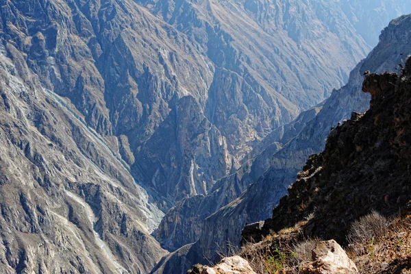 Peru 'daki Colca Kanyonu.