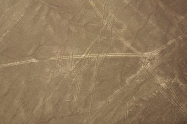 Köpek Nazca hattı.