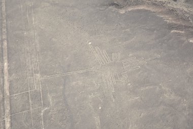 Sinek kuşlarının Nazca hattı.