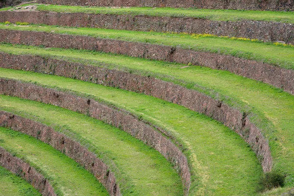 피 삭, 페루의 잉카 고고학 지역에서 계단식된 필드. — 스톡 사진