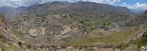 Peru 'daki Colca Kanyonu. — Stok fotoğraf