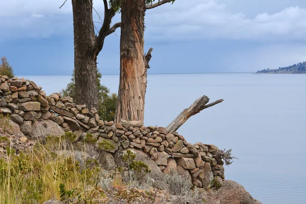 Stromy na ostrově Taquile, jezero Titicaca. Peru. — Stock fotografie