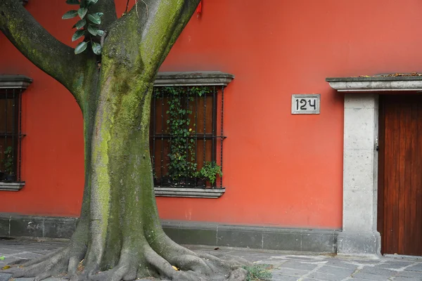 Coyoacan mahalle, Mexico City. — Stok fotoğraf