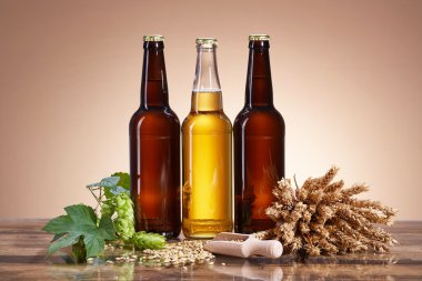 Bira ve bira maddeler