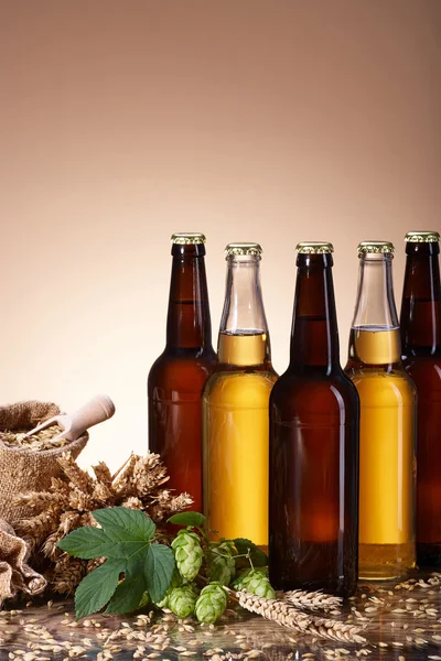 Асортимент пива та інгредієнтів для заварювання — стокове фото