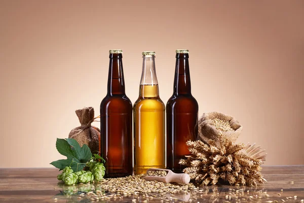 Пиво та інгредієнти на дерев'яному столі — стокове фото
