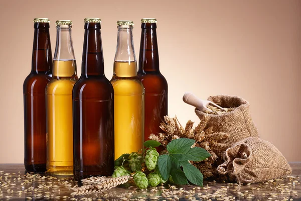 Пиво та інгредієнти на дерев'яному столі — стокове фото