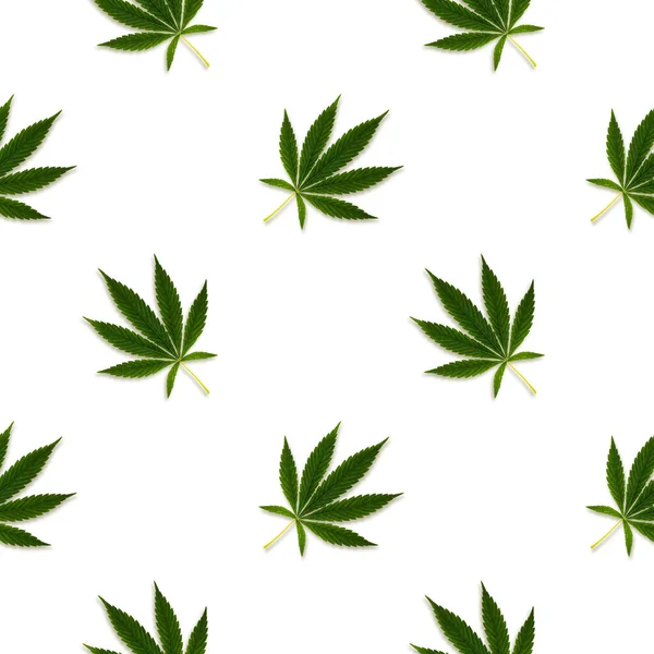 Hemp Cannabis Leaves Seamless Pattern White Background — Stock Photo, Image