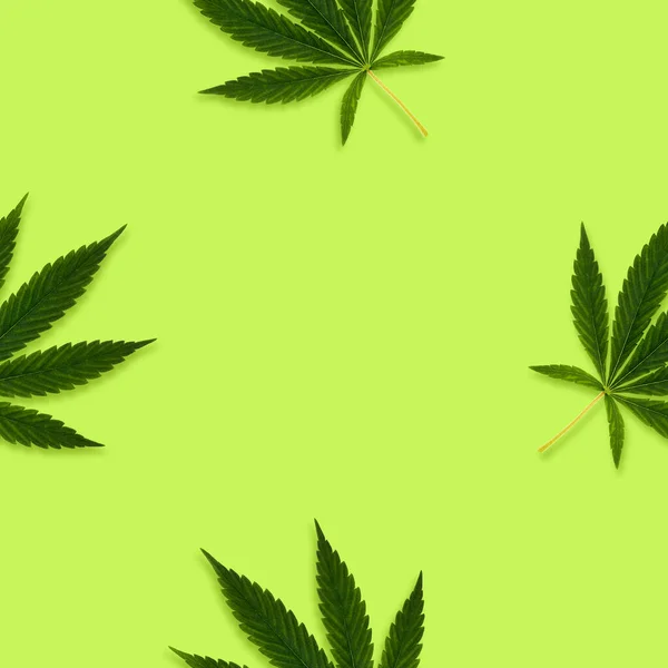 Hampa Eller Cannabis Lämnar Sömlöst Mönster Ljus Bakgrund — Stockfoto
