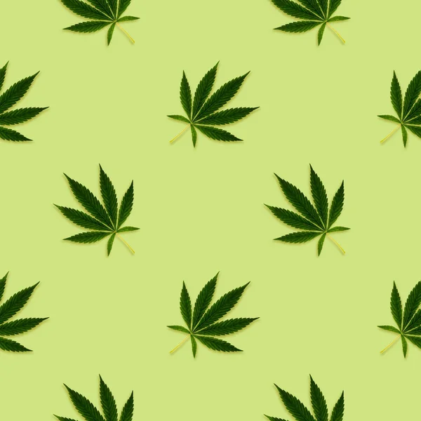 Cânhamo Cannabis Deixa Padrão Sem Costura Fundo Brilhante — Fotografia de Stock