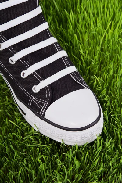 Черная обувь на зеленой лавке — стоковое фото