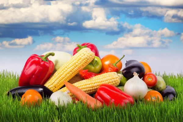 Ripe vegetables on green grass — Stock Photo, Image